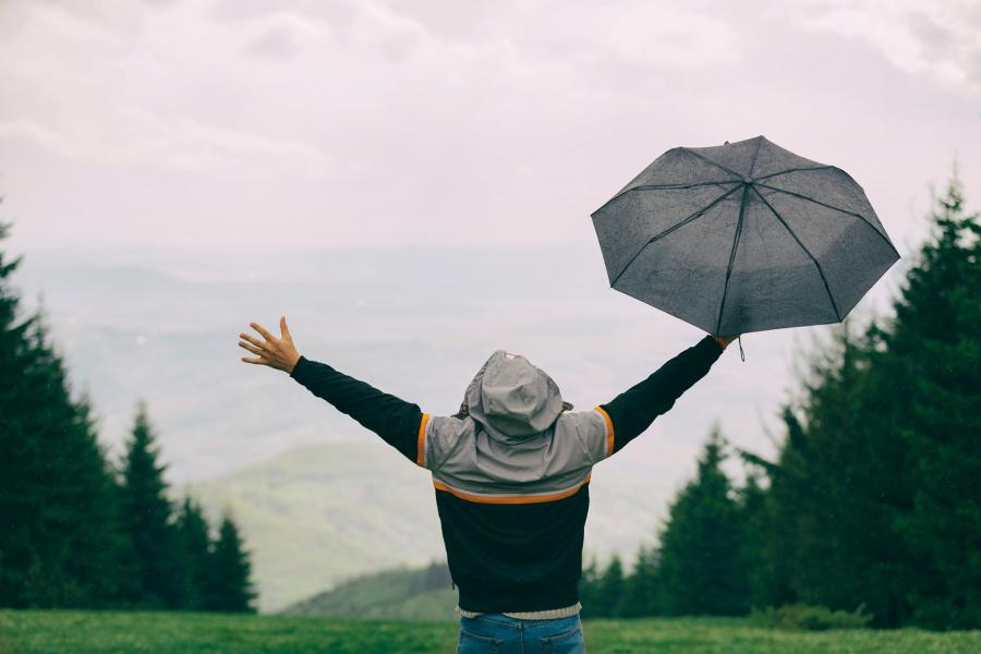 Webinar das Immunsystem