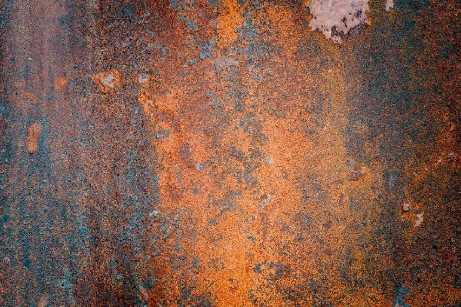 Webinar Schwermetallbelastung