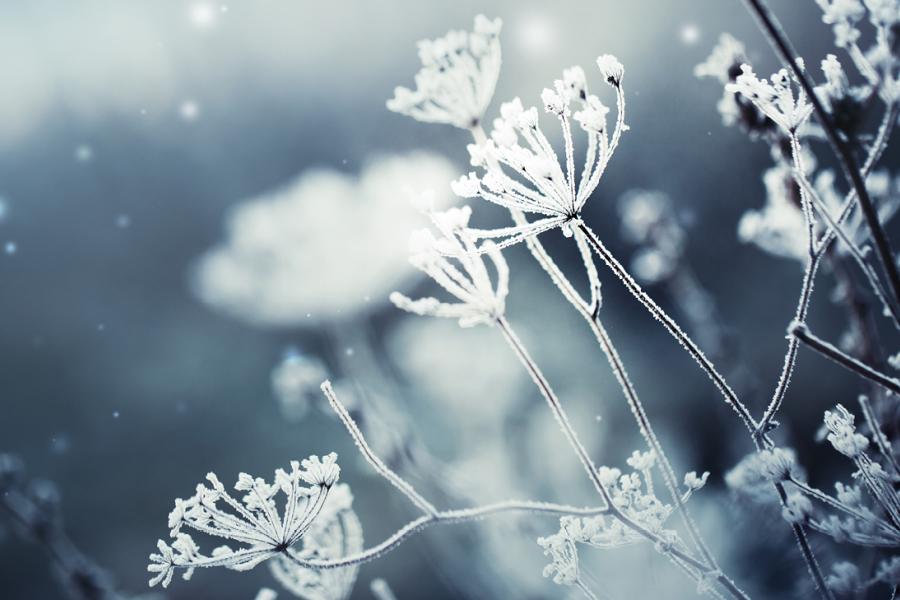 Webinar Burnout, inneres Feuer stärken