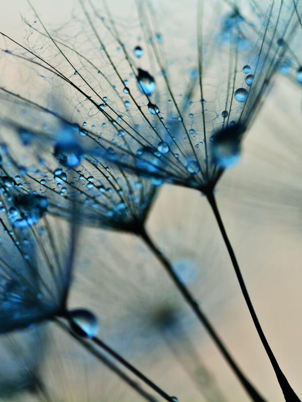 Titelbild Treffpunkt Mikronährstoffe der Biogena Akademie