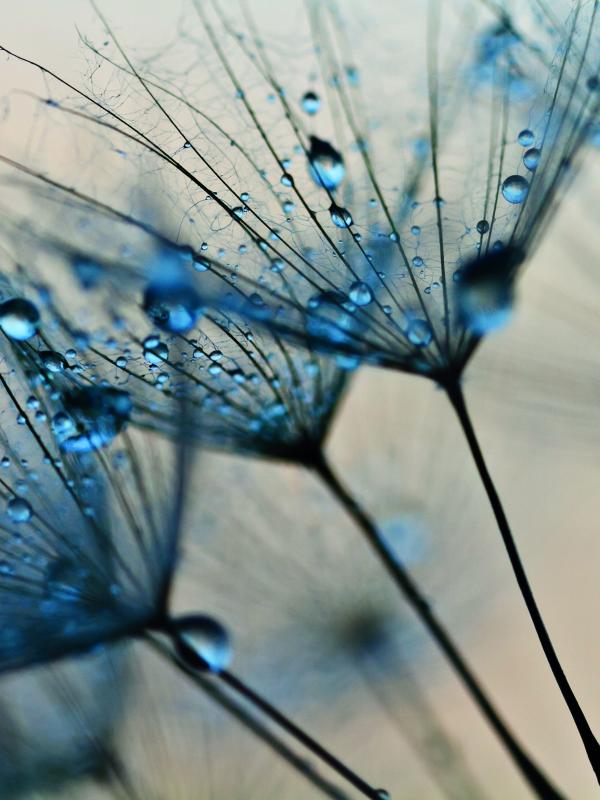 Titelbild Treffpunkt Mikronährstoffe