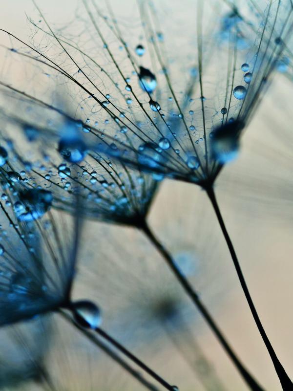 Titelbild Treffpunkt Mikronährstoffe