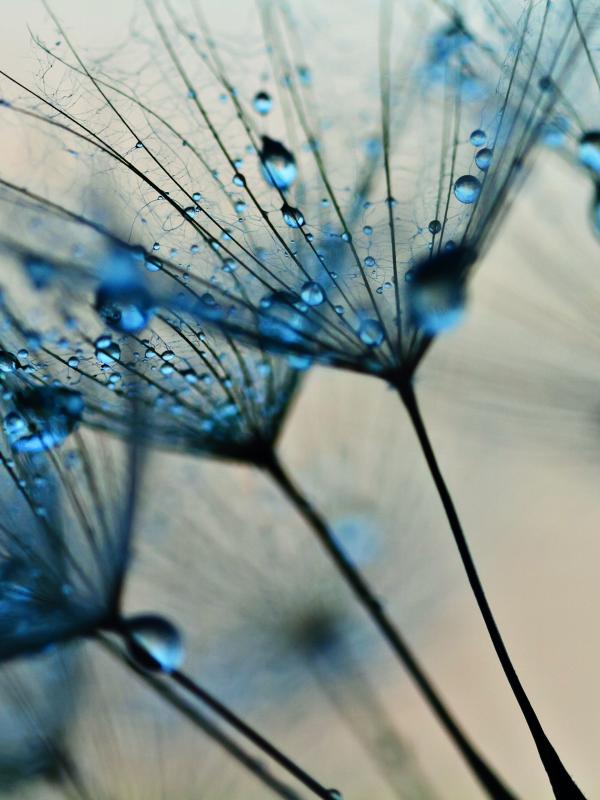 Titelbild Treffpunkt Mikronährstoffe der Biogena Akademie