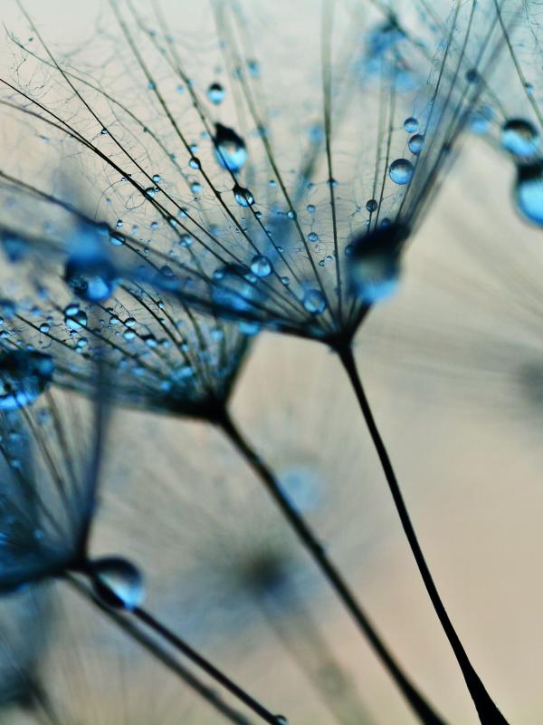 Titelbild Treffpunkt Mikronährstoffe der Biogena Akademie