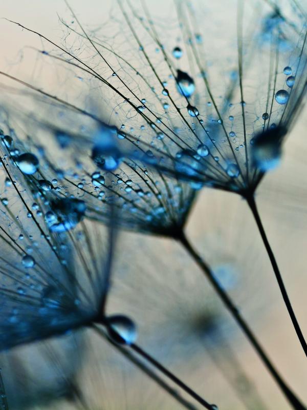 Titelbild Treffpunkt Mikronaehrstoffe Biogena Akademie