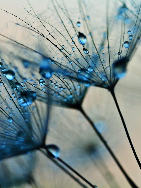 Titelbild Treffpunkt Mikronährstoffe der Biogena Akademie