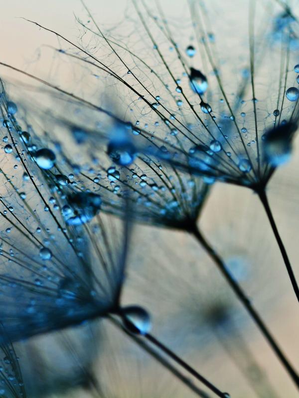 Titelbild Treffpunkt Mikronaehrstoffe der Biogena Akademie