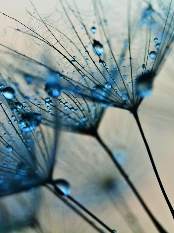 Titelbild Treffpunkt Mikronährstoffe der Biogena Akademie