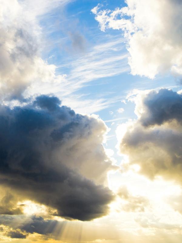 Vortrag zum Thema Schmerzfrei bei der Biogena Akademie