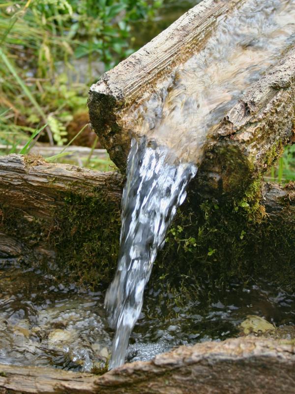 Titelbild Biogena Akademie Fach-Fortbildung zum Thema Laborseminar