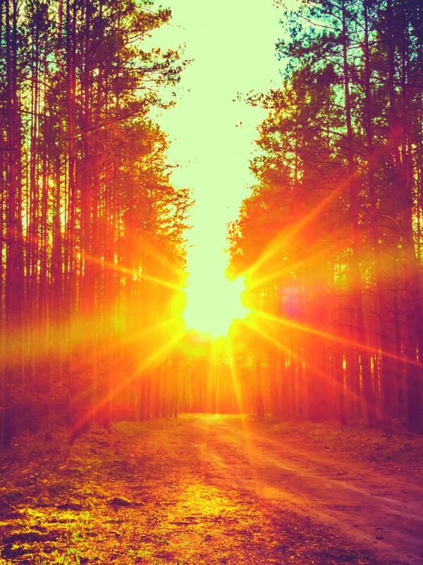 Sonnenblitz als Titelbild der Biogena Akademie Fach-Fortbildung Migräne ade