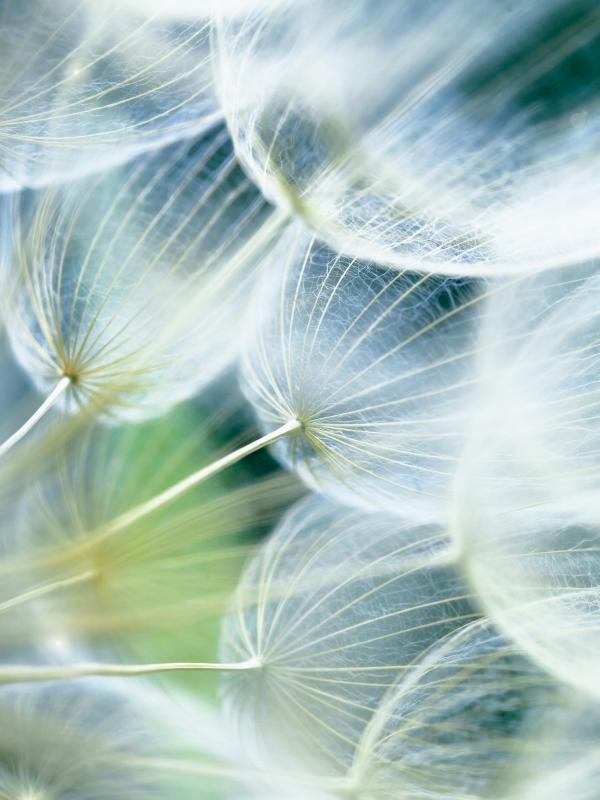 Titelbild der Biogena Fach-Fortbildung zum Thema Stress-  und Burn-out-Prävention