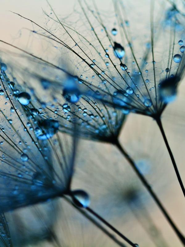 Titelbild Treffpunkt Mikronährstoffe der Biogena Akademie