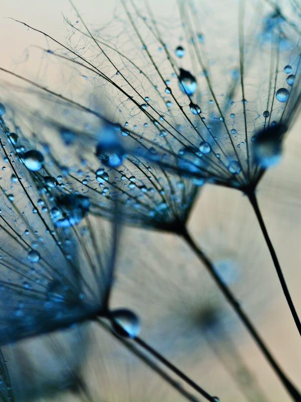 Titelbild Treffpunkt Mikronährstoffe der Biogena Akademie