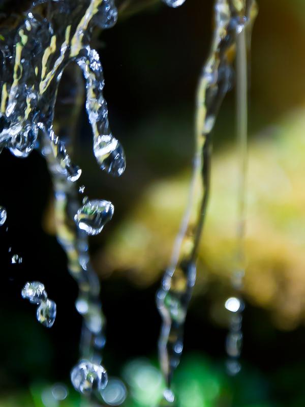 Mitochondrien die Kraftwerke der Zellen