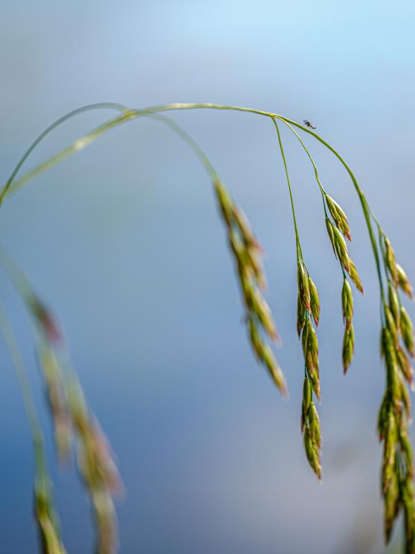 Fibromyalgie – Heilung ist möglich!