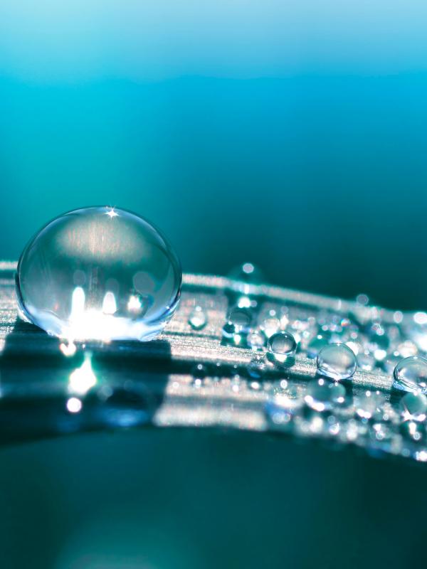 Treffpunkt Mikronährstoffe 2020