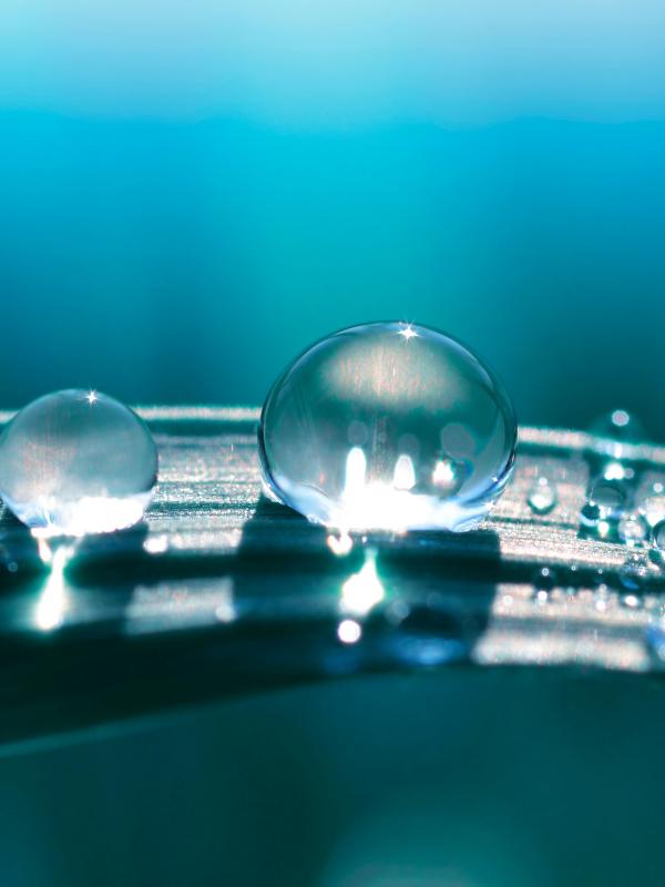 Treffpunkt Mikronährstoffe 2020