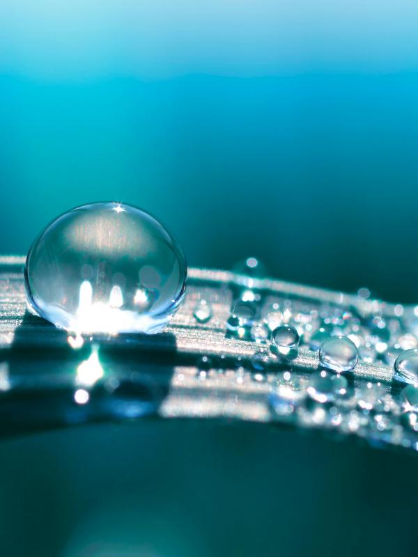 Treffpunkt Mikronährstoffe 2020