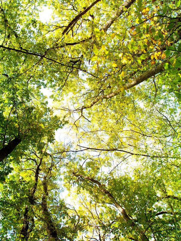 Muskeln brauchen Nahrung