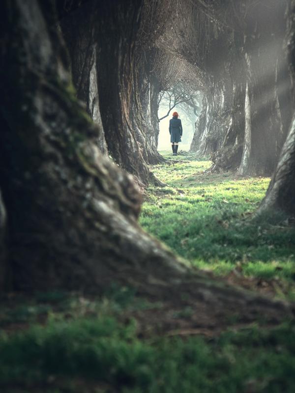 Online Seminar Burnout Prävention