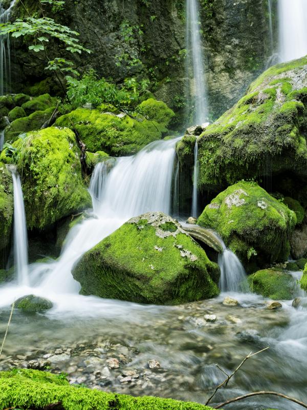 Webinar: Säure-Basen-Haushalt