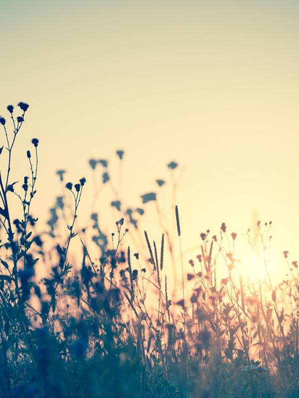 On Demand Webinar: Demenz – die große Herausforderung