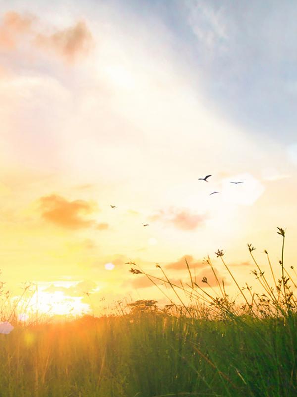 On Demand Webinar: Vitamin D in aller Munde - Schlüssel zur Gesundheit?