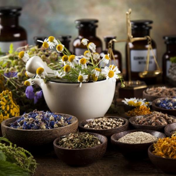 Webinar Traditionelle europäische Medizin für Frauen