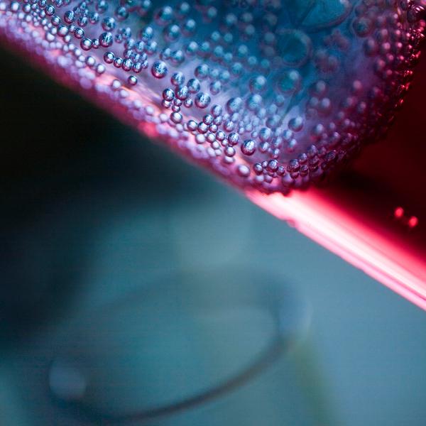 Webinar Vollblut vs. Serumanalyse