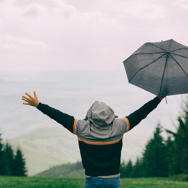 Webinar das Immunsystem