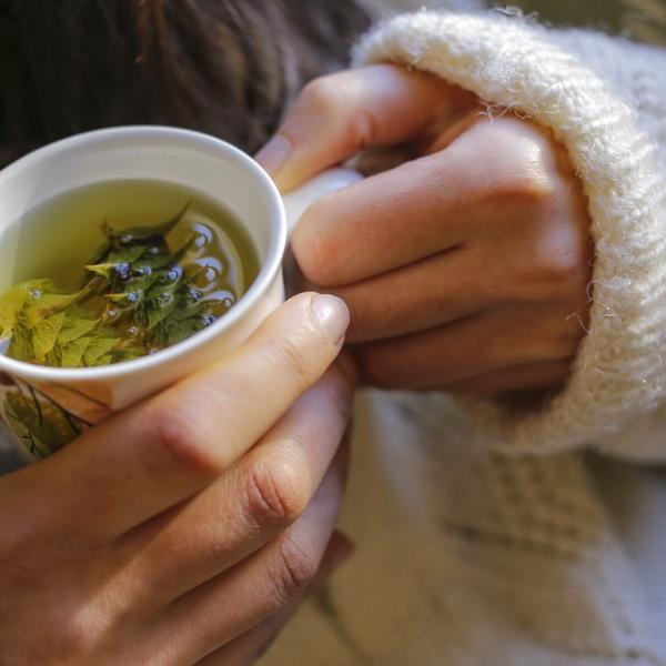 Webinar Winterkraft und Frühlingsfitness