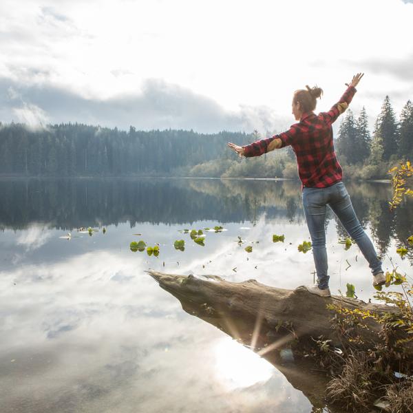 Webinare Säure Basen Haushalt
