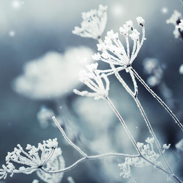 Webinar Burnout, inneres Feuer stärken